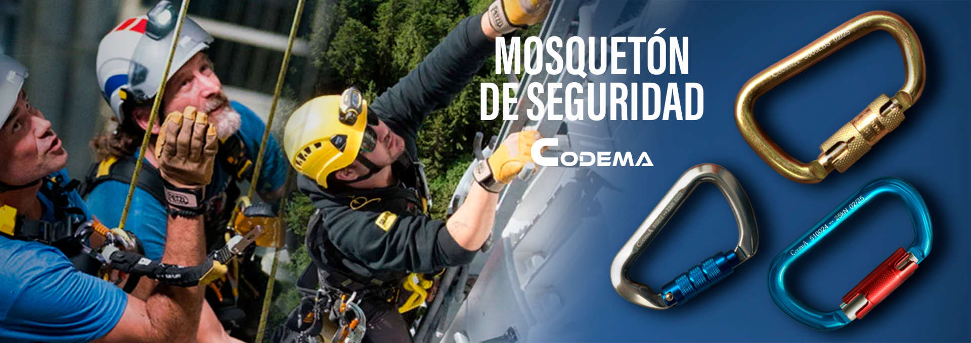 línea feston - Ferrenaval